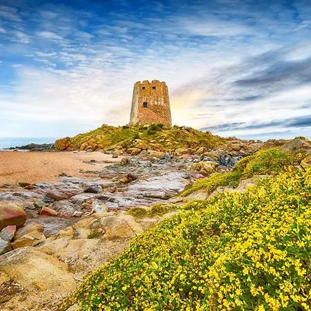 Teddy House * Bari Sardo