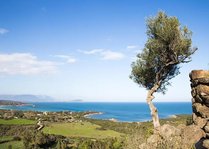 Teddy House * Bari Sardo