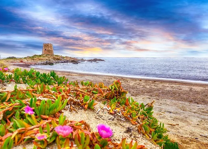 Teddy House Apartamento *