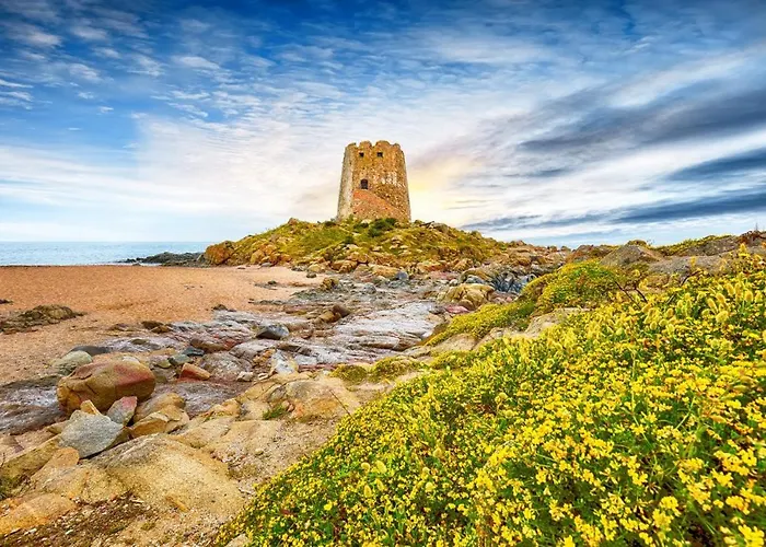 Teddy House * Bari Sardo