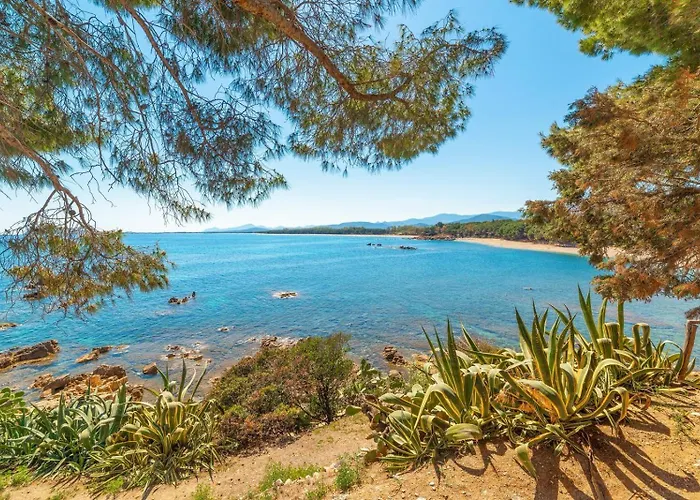 Apartamento Teddy House *